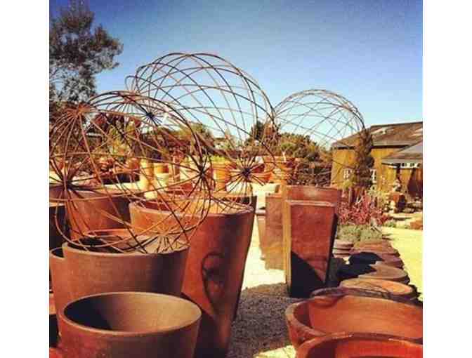 Organic Chef's Paradise