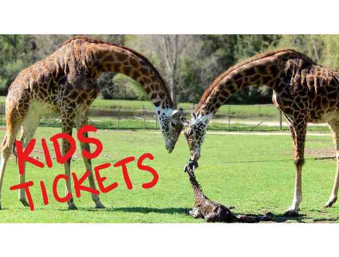 Safari West:  KIDS Tickets - Photo 1