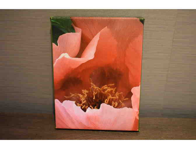 'Peony Garden' by Karen Miller O'Keefe