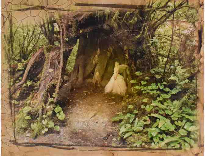 'Fairyland Photograph' by Doris Diamond