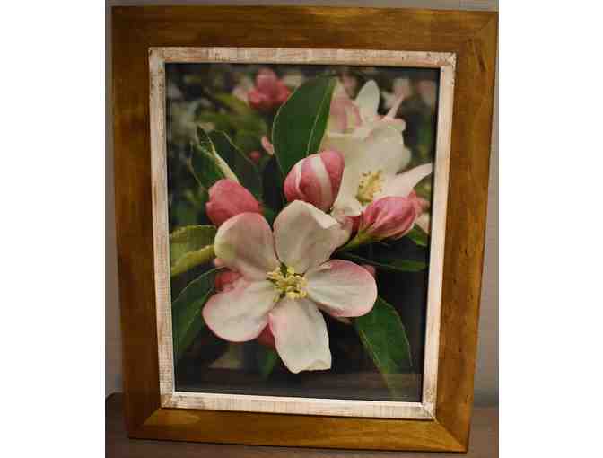 'Spring Bloom' by Lisa Marie Scrima-Castelli