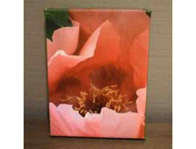 Smell the Roses Special Package: Roses, Bath Oils & Peony Painting