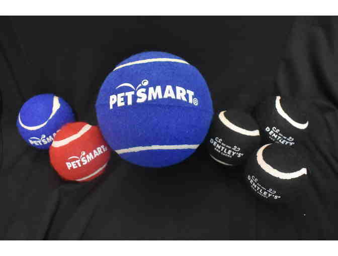 PetsMart Playful Pup Package