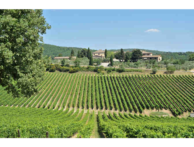 Rocca delle Macie: Virtual Winery Tour and 3 Wine Bottle Tasting (Seat 1 of 5)