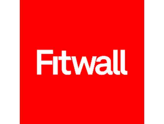 Fitwall - 5 Class Punch Pass