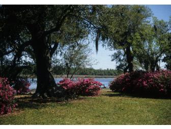 2 Drayton Hall Passes: Connect with Historic Charleston