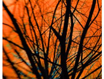 $50 Gift Certificate to Mino'aka