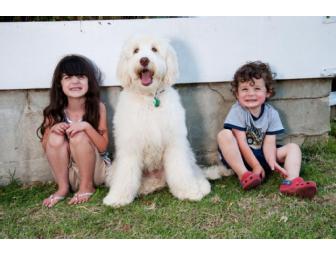 Your Business Name Here!