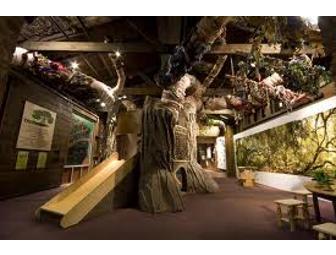 One Year Family Membership to the Children's Museum of the Lowcountry!