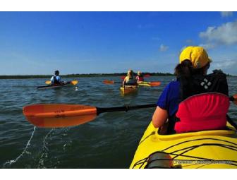Four Hour Kayak Rental From Charleston Outdoor Adventures