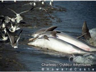 Four Hour Kayak Rental From Charleston Outdoor Adventures