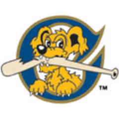 Charleston River Dogs