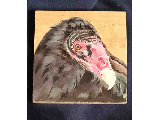 'Drinking with Raptors' Set of 4 Hand Painted Turkey Vulture Coasters