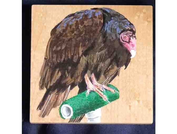 'Drinking with Raptors' Set of 4 Hand Painted Turkey Vulture Coasters