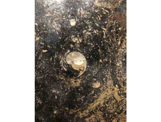 Polished Fossil Ammonite Platter