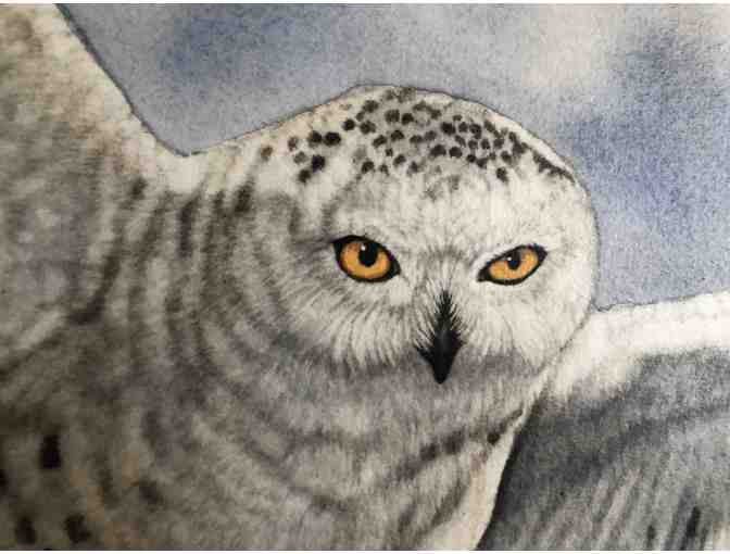 Original Snowy Owl Watercolor Painting