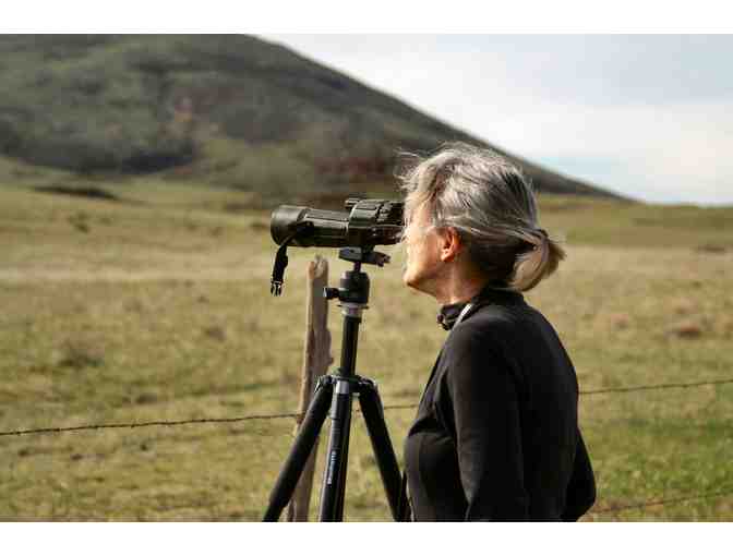 Guided Eagle Watching Field Trip