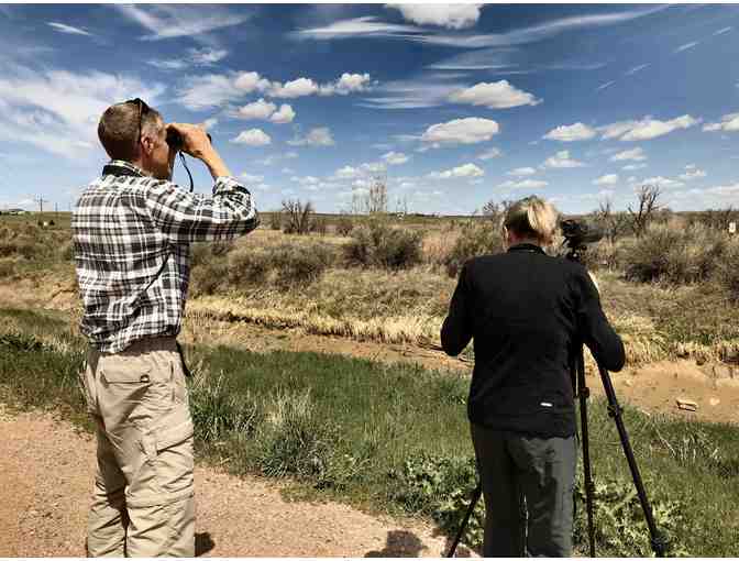 Guided Eagle Watching Field Trip