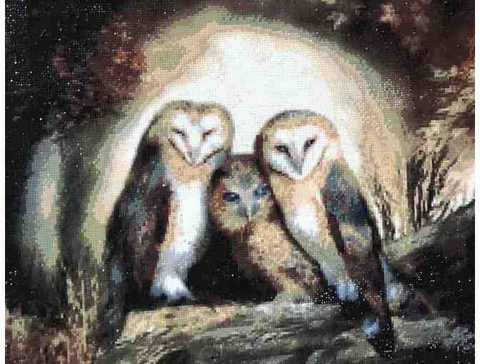 3D Barn Owl Painting