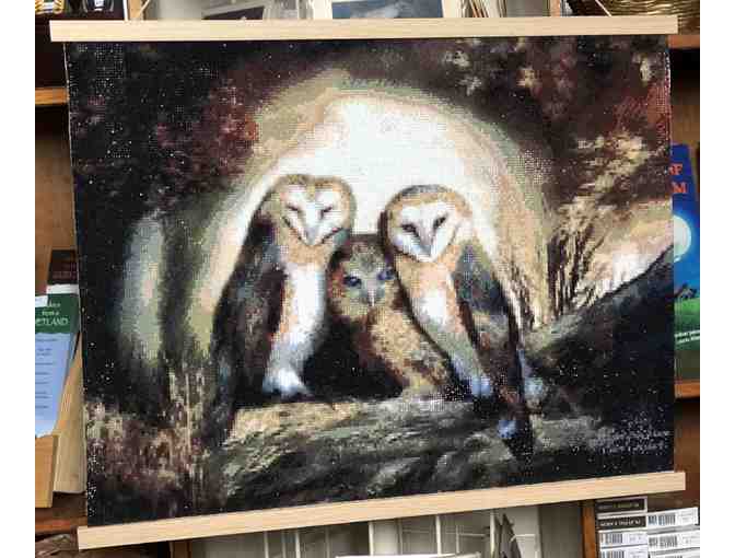 3D Barn Owl Painting