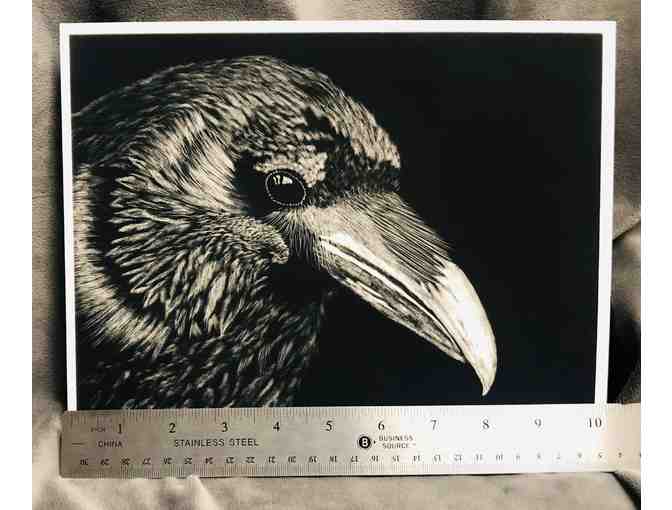 'Raven' Print of Scratchboard Art