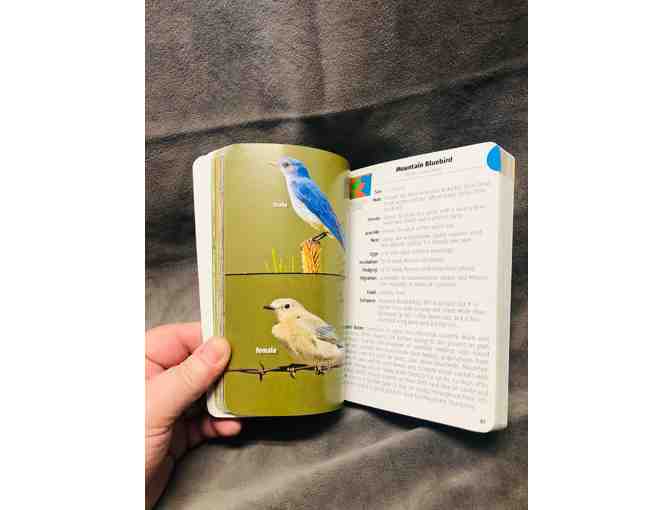 Ram-Gear and Bird Watching Books