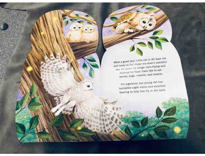 'Little Owl' and 'Moonlight Animals' Children's Books