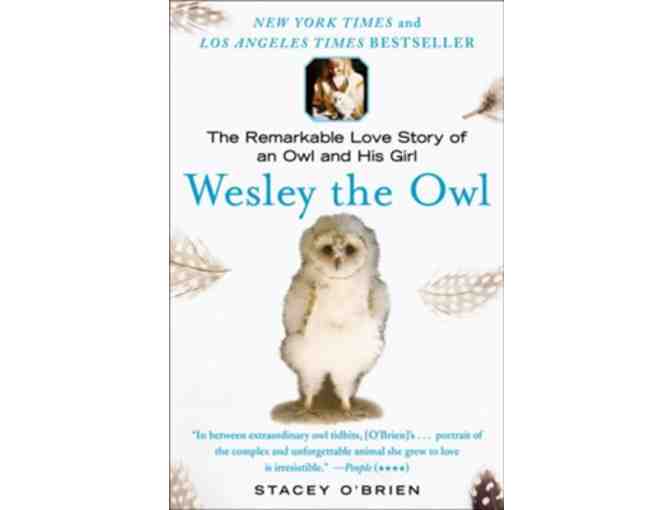 A Parliament of Owl Books