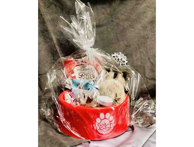 Pampering For Your Pooch!