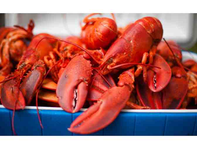6 Hot Boiled Lobsters - Delivered - Photo 1