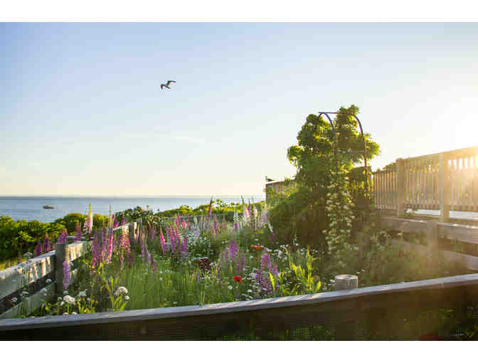 Celia Thaxter Garden Tour, Appledore Island