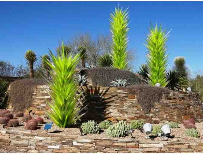Phoenix, Arizona's Desert Botanical Garden Tour