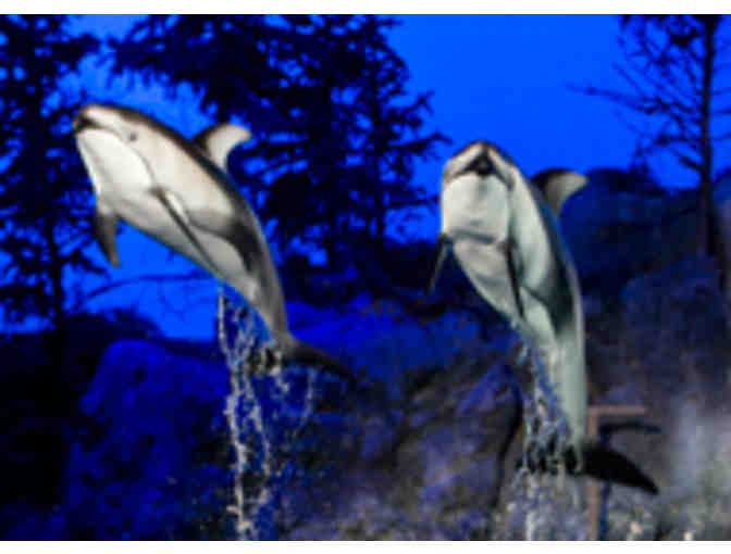 4 VIP Tickets to Shedd Aquarium & Navy Pier Centennial Wheel