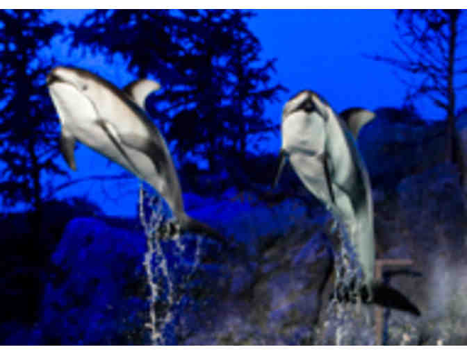 4 VIP Tickets to Shedd Aquarium
