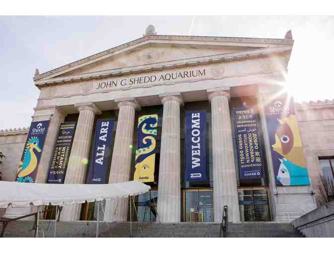 4 VIP Tickets to Shedd Aquarium
