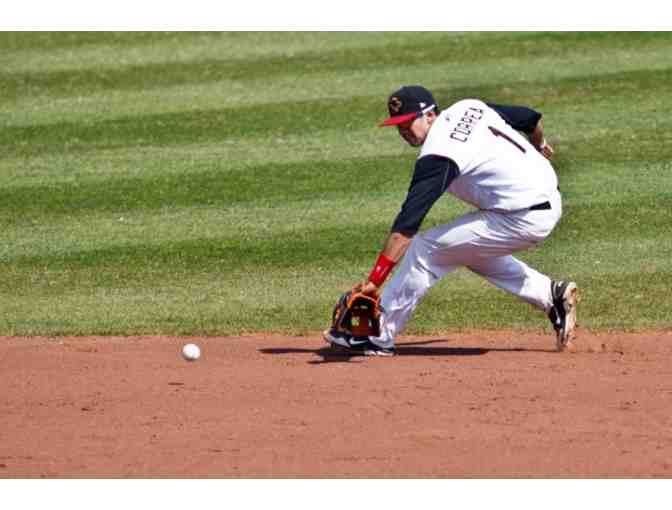 Tickets to Quad Cities Baseball