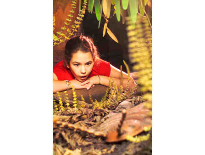 Burpee Museum of Natural History Family Membership