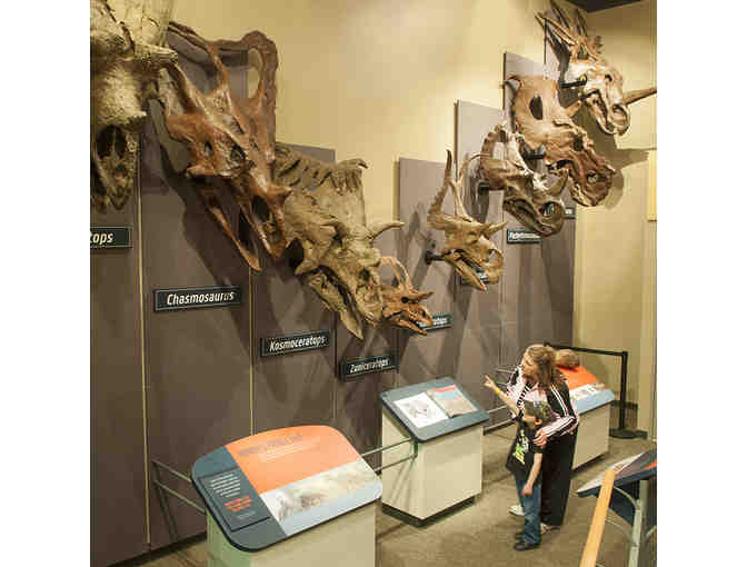 Burpee Museum of Natural History Family Membership
