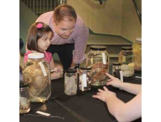Burpee Museum of Natural History Family Membership