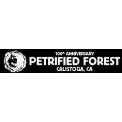 Petrified Forest
