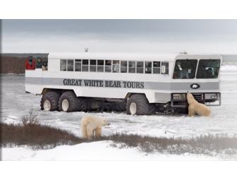 Classic 7-day Polar Bear Expedition for 2