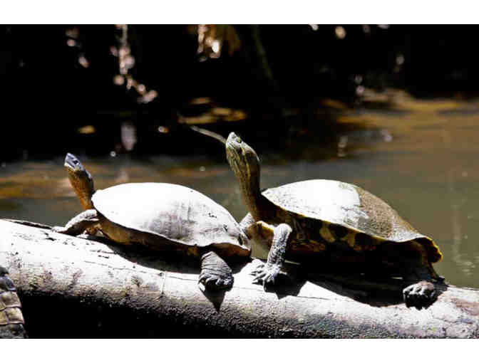 Tortuguero Costa Rica Adventure & Eagle Creek Travel Bag