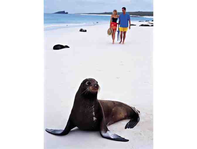 Enchanting 7 Night Galapagos Cruise