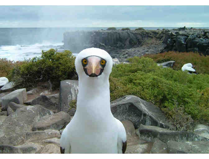 Enchanting 7 Night Galapagos Cruise