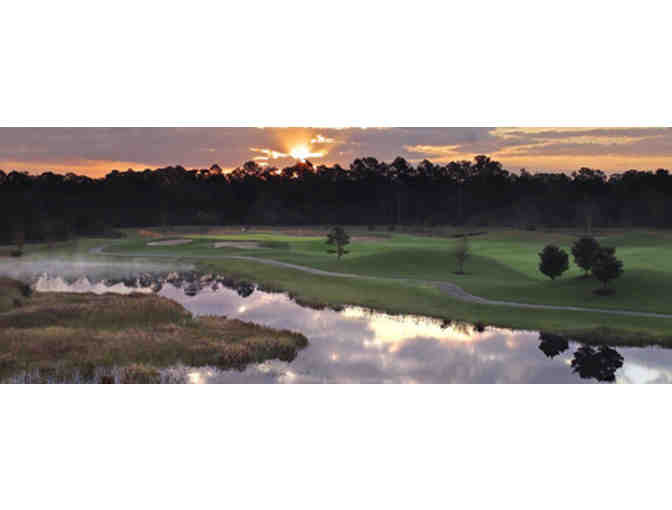 Golf for 4 at Harmony Golf Preserve, Florida