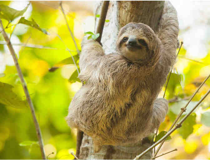 3 Night Stay at Lapa Rios, Costa Rica