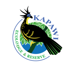 Kapawi Ecolodge & Reserve
