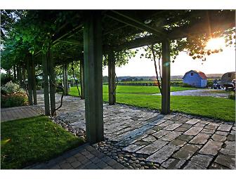 Private Winery Tour and Tasting for Ten!