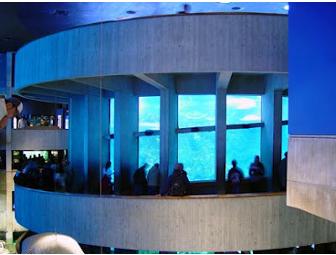 Two passes to the New England Aquarium