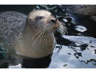 Two passes to the New England Aquarium